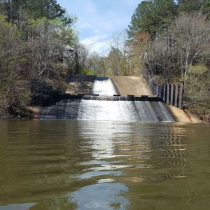 Meet your Posher, Allen